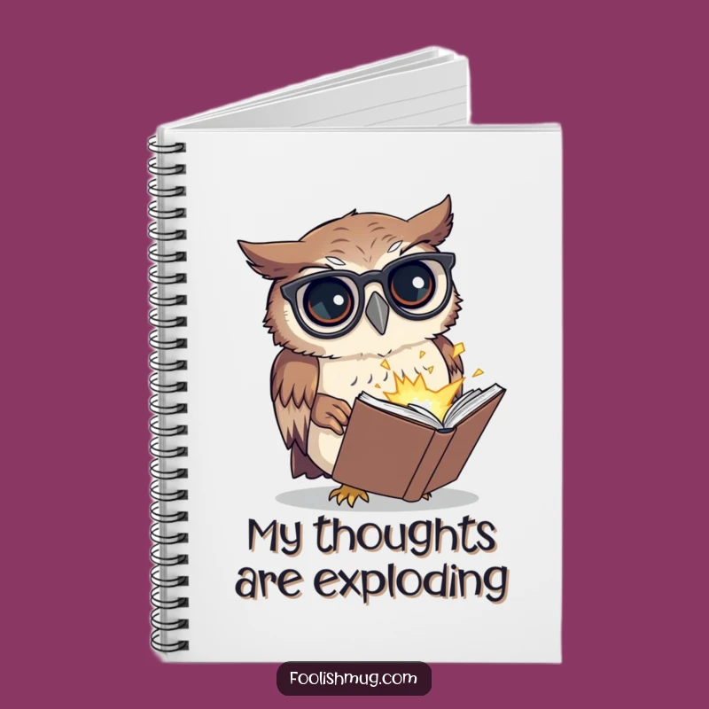 Funny Owl Notebook: Hilarious Exploding Book Design for Notes & Funny Gifts!